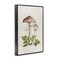 Stupell Industries Mushroom & Ferns Sketch Framed Giclee Wall Art Design by Eli Jones